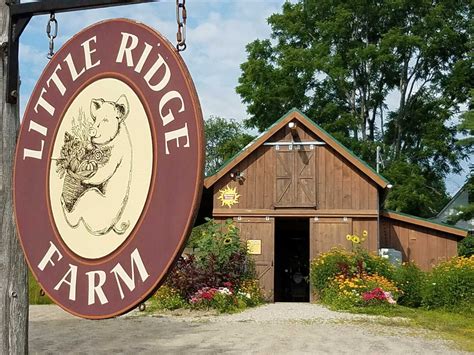 Little Ridge Farm